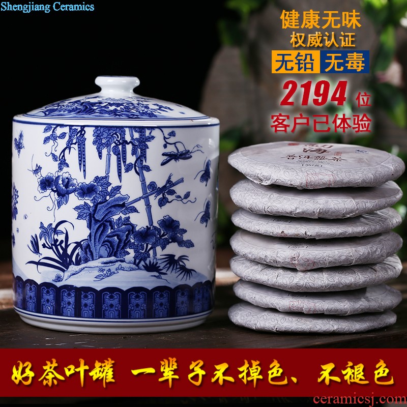 Jingdezhen ceramic tea pot size Green tea storage POTS pu-erh tea and tea storage jar airtight save tea tea set