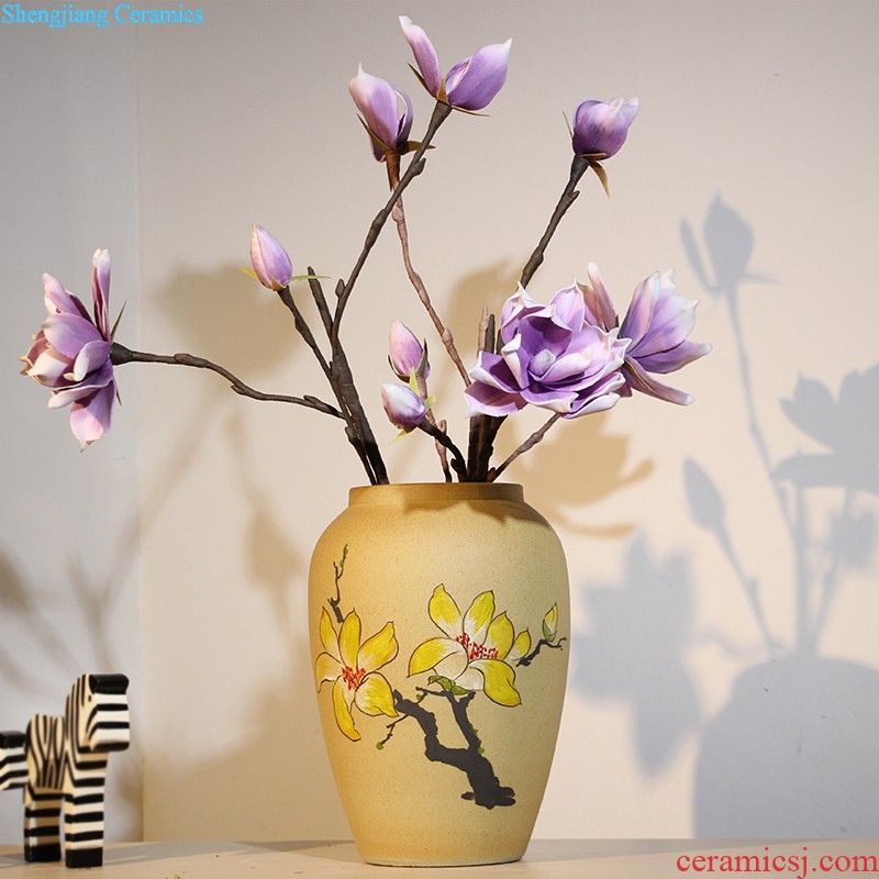 The vase study of contemporary and contracted sitting room adornment ceramic vase landing TV ark home decoration flower arranging furnishing articles