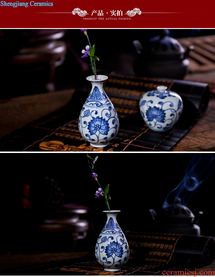 Hand painted small mouth of jingdezhen blue and white porcelain ceramic vase classical household porcelain rich ancient frame wine bottle decoration furnishing articles