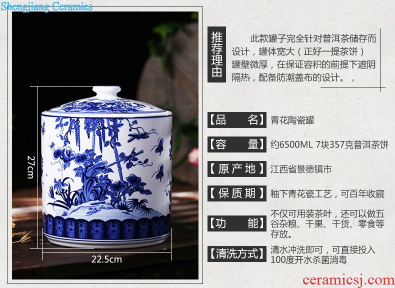 Jingdezhen ceramic tea pot size Green tea storage POTS pu-erh tea and tea storage jar airtight save tea tea set