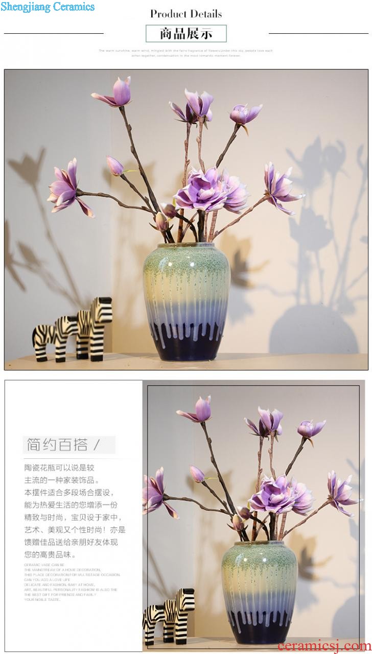 The vase study of contemporary and contracted sitting room adornment ceramic vase landing TV ark home decoration flower arranging furnishing articles