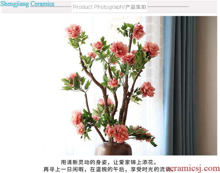 Art show new Chinese style flower implement zen dried flower ceramic vase home sitting room adornment is placed between example flower villa