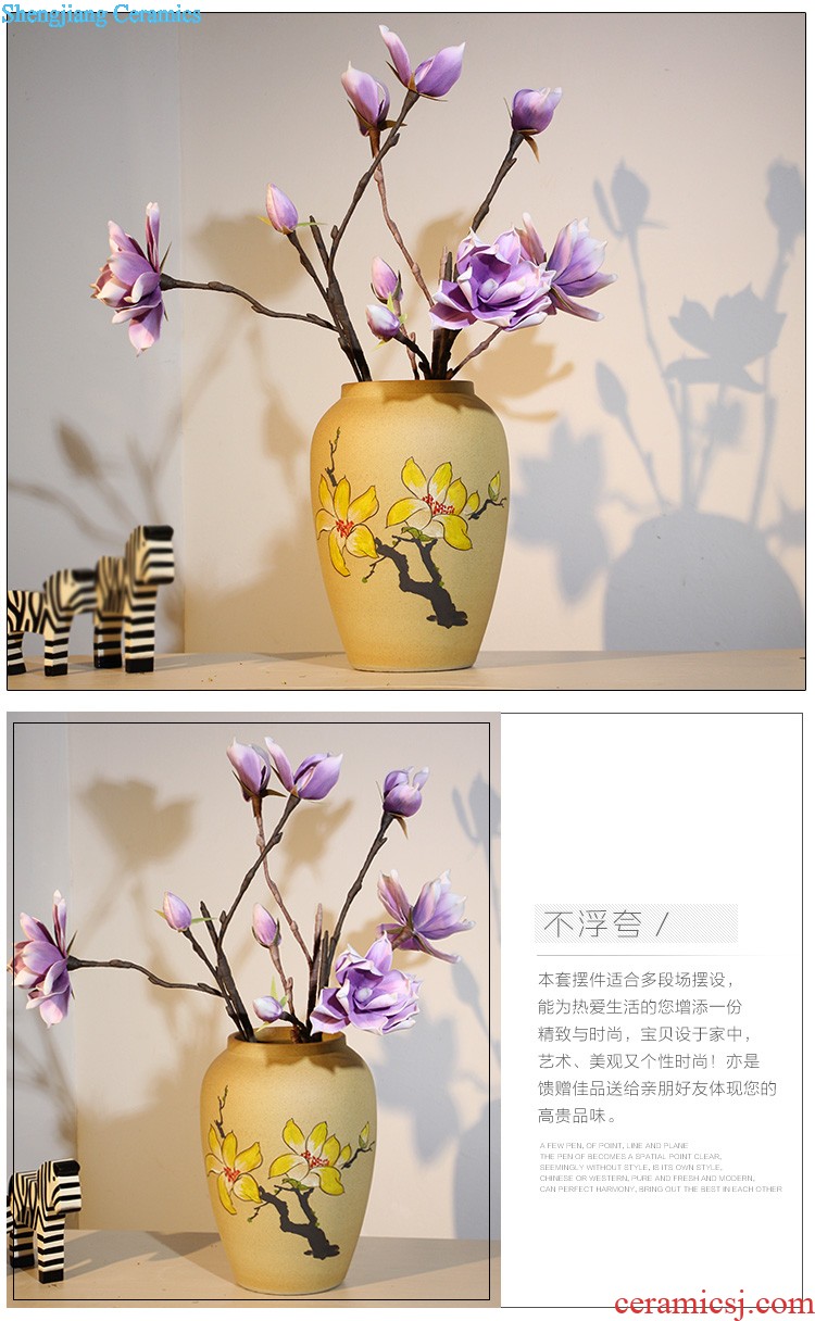 The vase study of contemporary and contracted sitting room adornment ceramic vase landing TV ark home decoration flower arranging furnishing articles