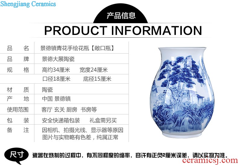 Jingdezhen porcelain vase Handmade porcelain celebrity famous large sitting room archaize handicraft furnishing articles