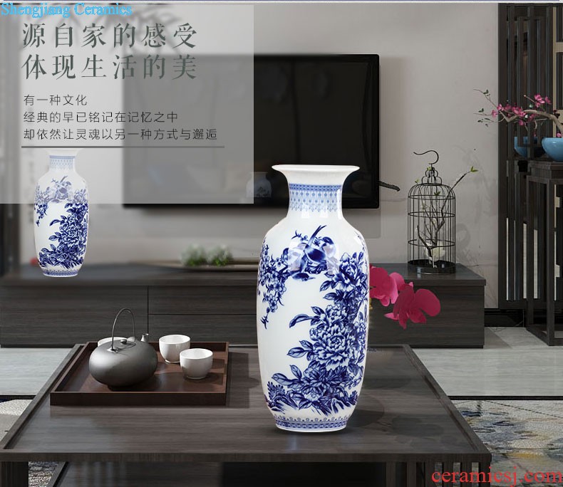 Jingdezhen ceramic furnishing articles dried flower vase large vase to the new house decoration porcelain bottle household arts and crafts