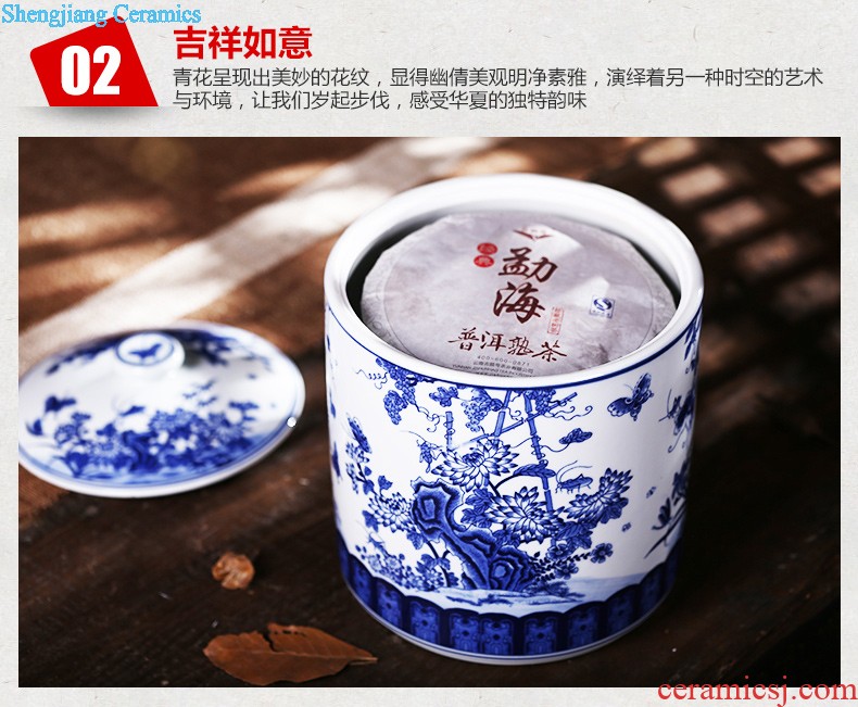 Jingdezhen ceramic tea pot size Green tea storage POTS pu-erh tea and tea storage jar airtight save tea tea set