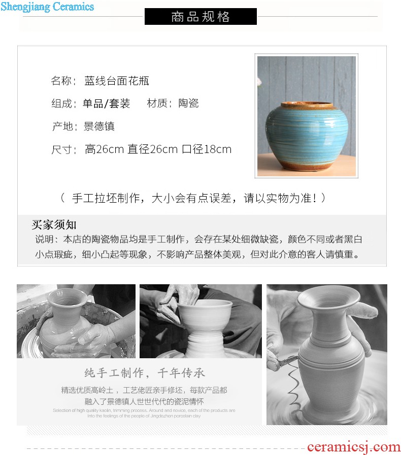 European art ceramics of large vase Jingdezhen contemporary and contracted sitting room soft furnishing articles of modern Chinese style