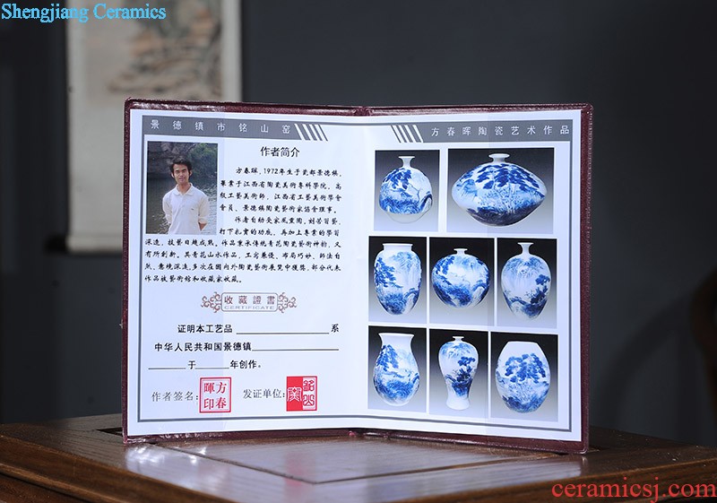 Jingdezhen porcelain vase Handmade porcelain celebrity famous large sitting room archaize handicraft furnishing articles