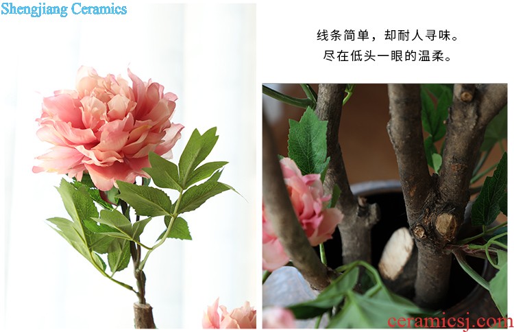 Art show new Chinese style flower implement zen dried flower ceramic vase home sitting room adornment is placed between example flower villa