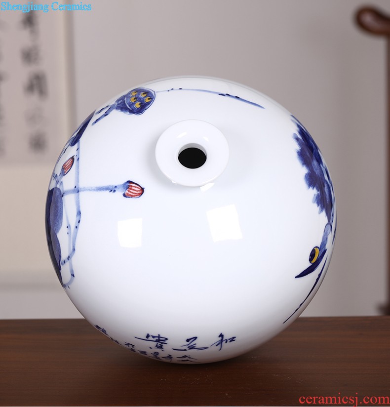 Ikea jingdezhen small mouth ceramic vase furnishing articles contemporary and contracted sitting room porch TV ark dried flower crafts