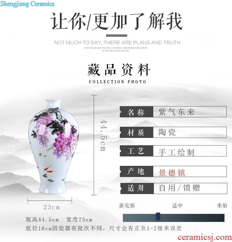 Contemporary and contracted craft vase furnishing articles large ground of jingdezhen ceramics vase decoration handicraft sitting room