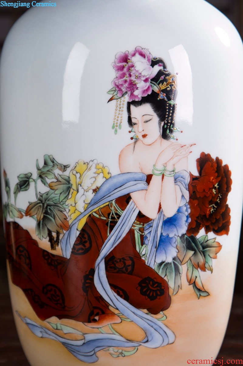 Huai embellish, jingdezhen painting vase painting freehand brushwork in traditional Chinese painting animals hou graph classic blue and white fashionable household place