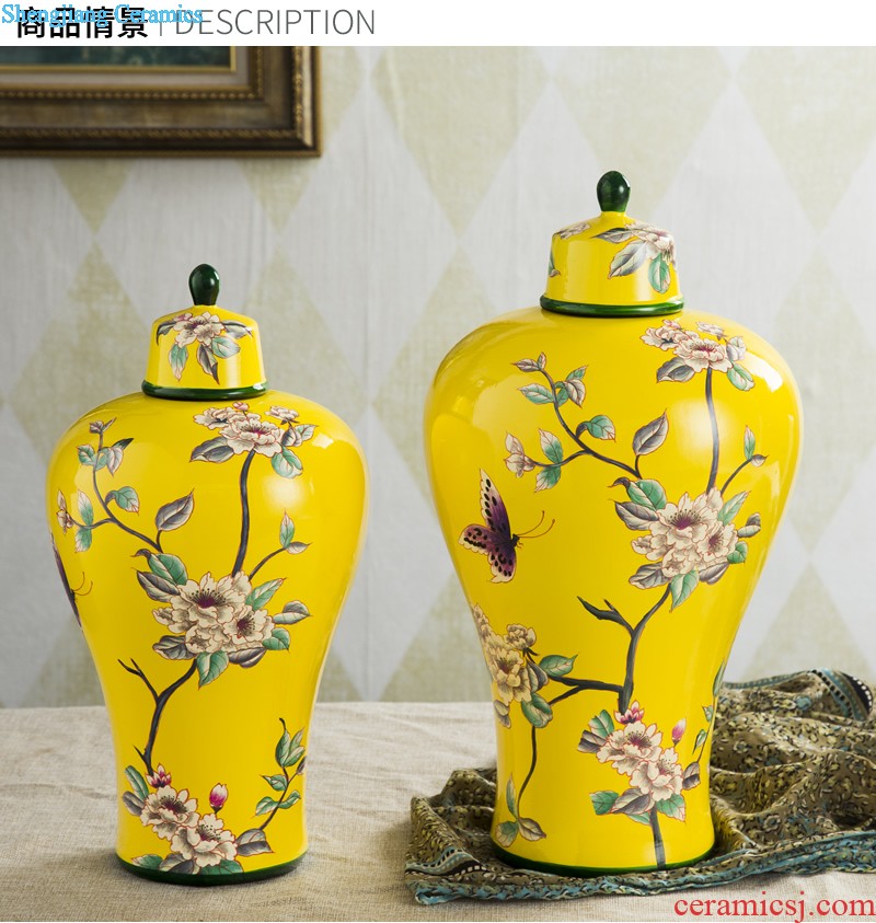 Jingdezhen ceramic decorative vase furnishing articles European contracted sitting room dried flowers flower arrangement table TV ark soft decoration