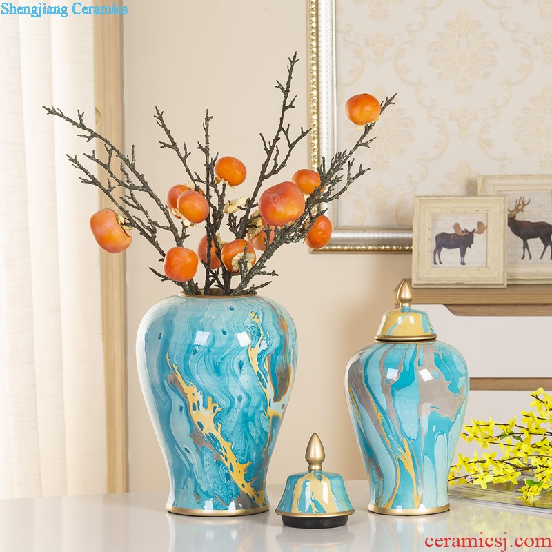 General European ceramic pot large American landing luxury HuaChu jar sample room hotel soft adornment is placed