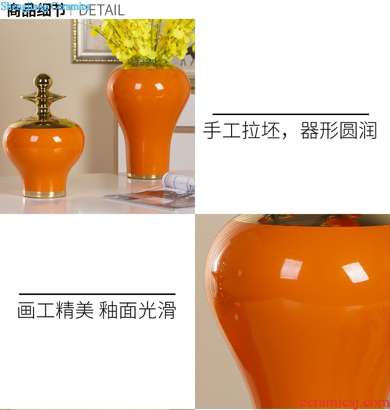 Jingdezhen ceramic wide mouth phnom penh vase Nordic light flower arrangement sitting room luxury decoration, household soft adornment flowers flowers