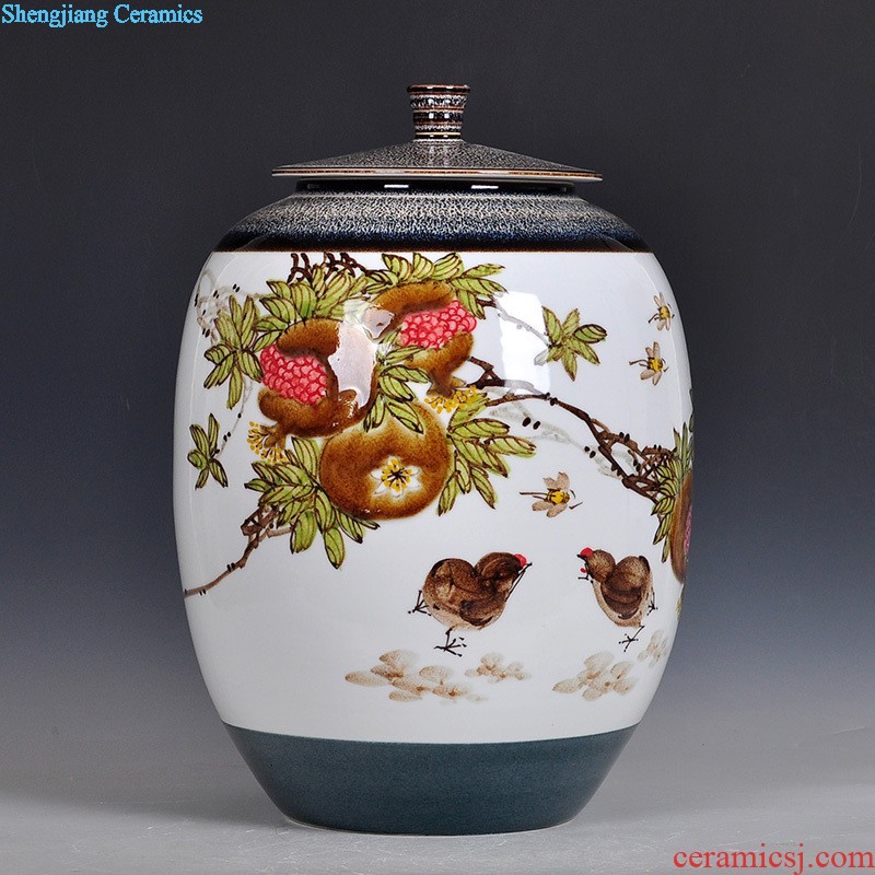 Master of jingdezhen furnishing articles sitting room decoration vase vase hand-painted famous porcelain craft bottles of furnishing articles