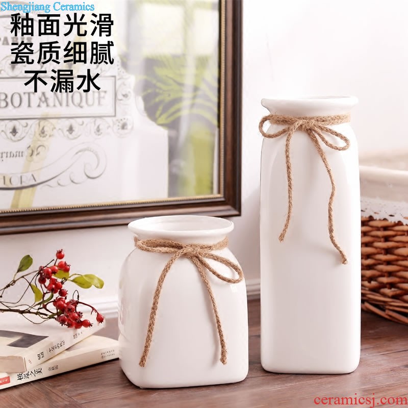 Jingdezhen ceramic modern new Chinese style flower vase The sitting room TV wine porch place home decoration