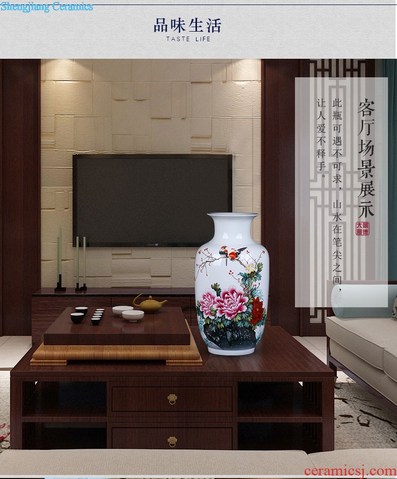 Chinese TV ark furnishings jingdezhen ceramics vase modern creative large sitting room place to decorate household