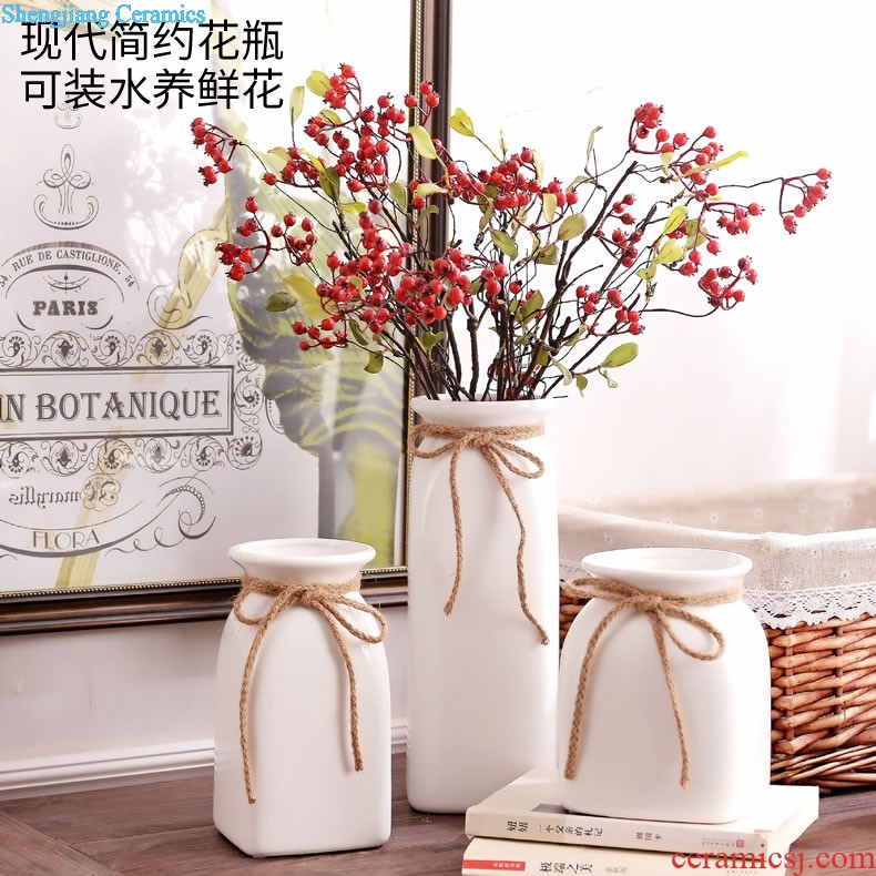 Jingdezhen ceramic modern new Chinese style flower vase The sitting room TV wine porch place home decoration