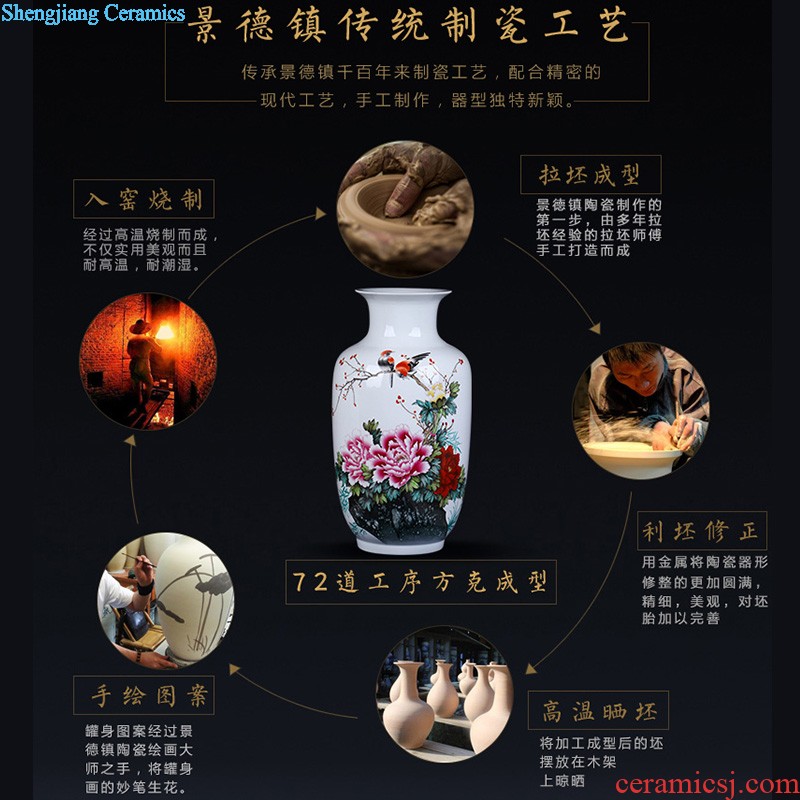 Chinese TV ark furnishings jingdezhen ceramics vase modern creative large sitting room place to decorate household