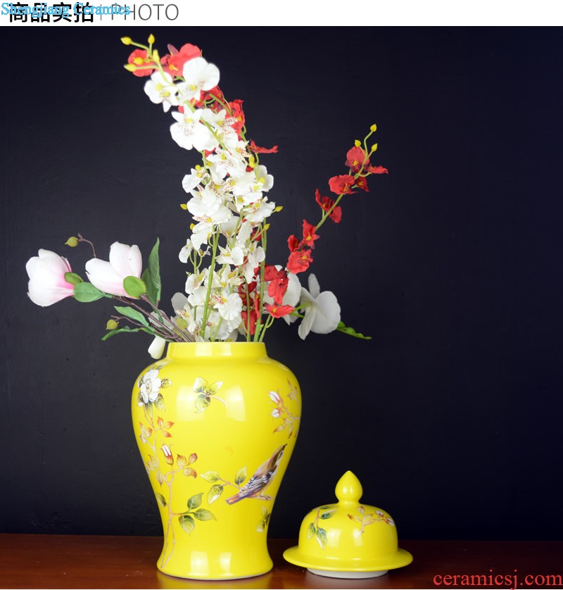 Jingdezhen ceramic vase household the general pot of new Chinese style porch example room dry flower arranging flowers soft adornment is placed