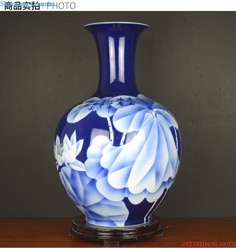 General blue and white porcelain jar ceramic furnishing articles sitting room old antique hand-painted jingdezhen ceramics vase household ornaments