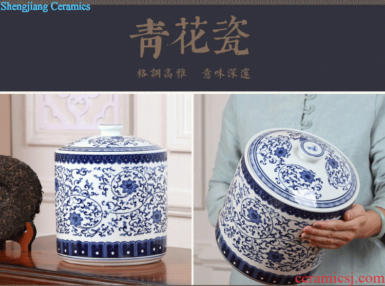 Jingdezhen porcelain vase Handmade porcelain celebrity famous large sitting room archaize handicraft furnishing articles