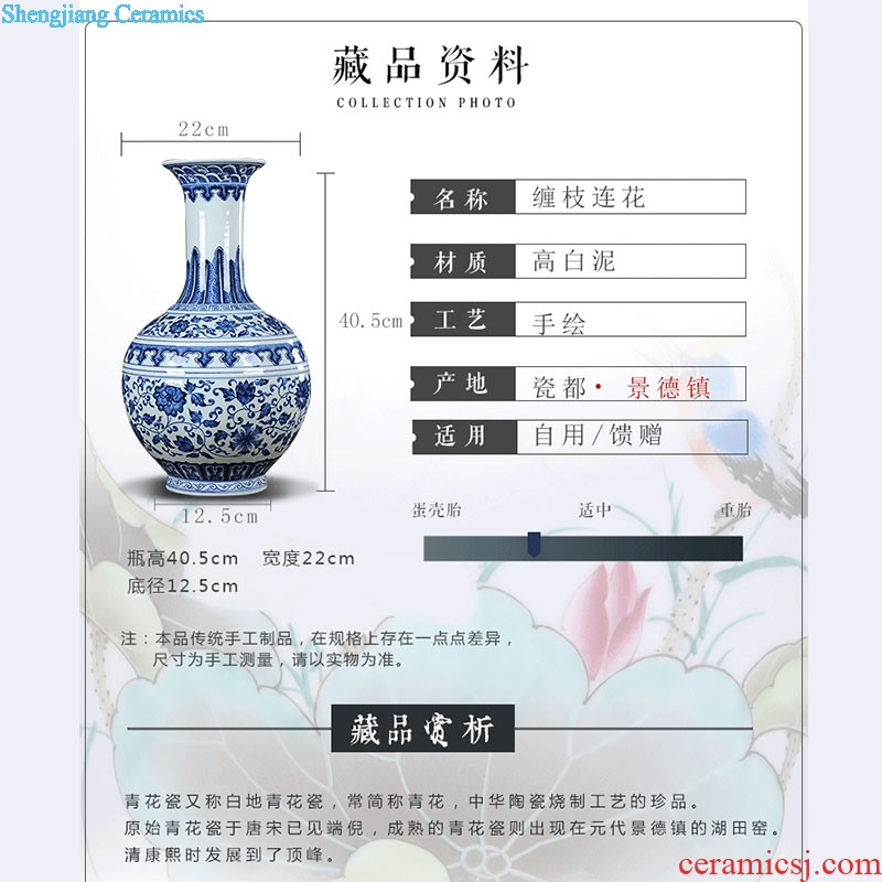 Chinese pottery and porcelain vase furnishing articles The living room floor high modern creative home famous hand-painted handicraft arranging flowers