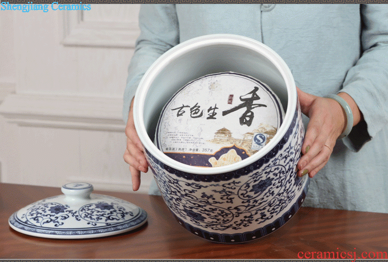 Jingdezhen porcelain vase Handmade porcelain celebrity famous large sitting room archaize handicraft furnishing articles