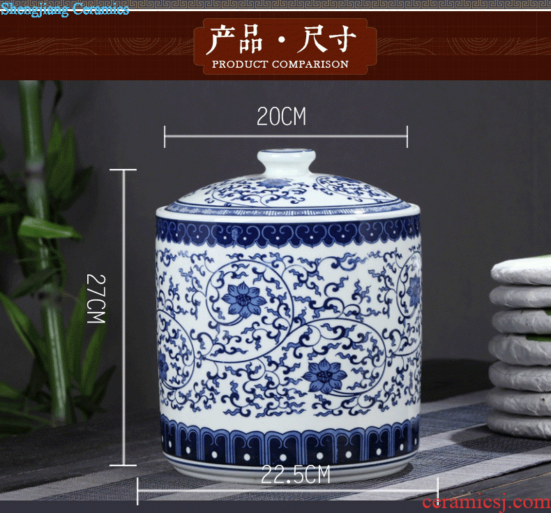 Jingdezhen porcelain vase Handmade porcelain celebrity famous large sitting room archaize handicraft furnishing articles