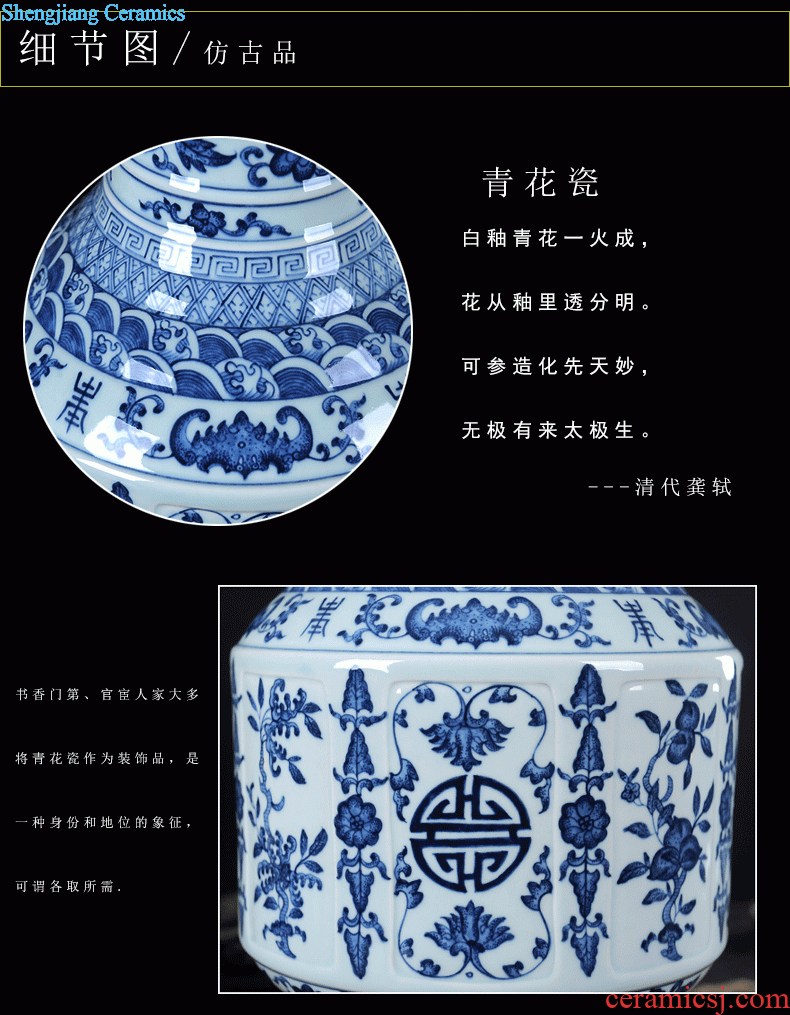 Thin jingdezhen ceramic vase decorated the living room New Chinese style living room furnishing articles hand-painted hotel TV ark decoration