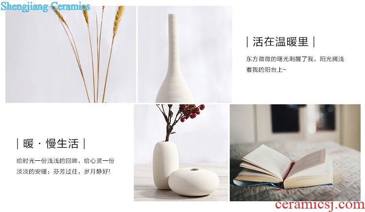 Jingdezhen ceramic hand-painted new Chinese vase creative living room TV cabinet dry flower arranging flowers home furnishing articles