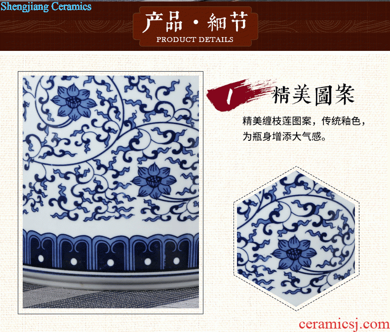 Jingdezhen porcelain vase Handmade porcelain celebrity famous large sitting room archaize handicraft furnishing articles