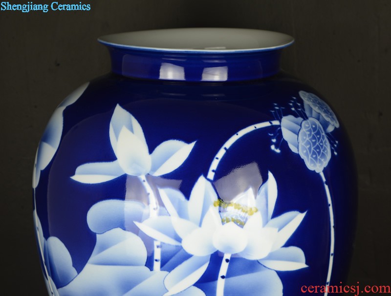 General blue and white porcelain jar ceramic furnishing articles sitting room old antique hand-painted jingdezhen ceramics vase household ornaments