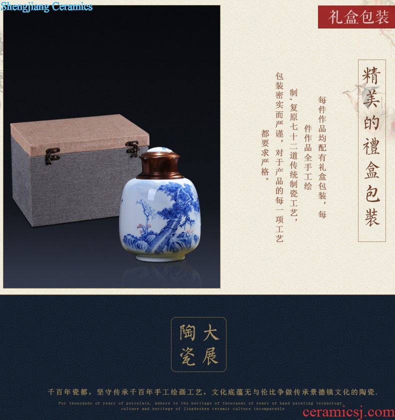 Jingdezhen ceramics vase furnishing articles Scenery famous hand-painted bottles Ceramic bottle of new Chinese style living room decoration furnishing articles