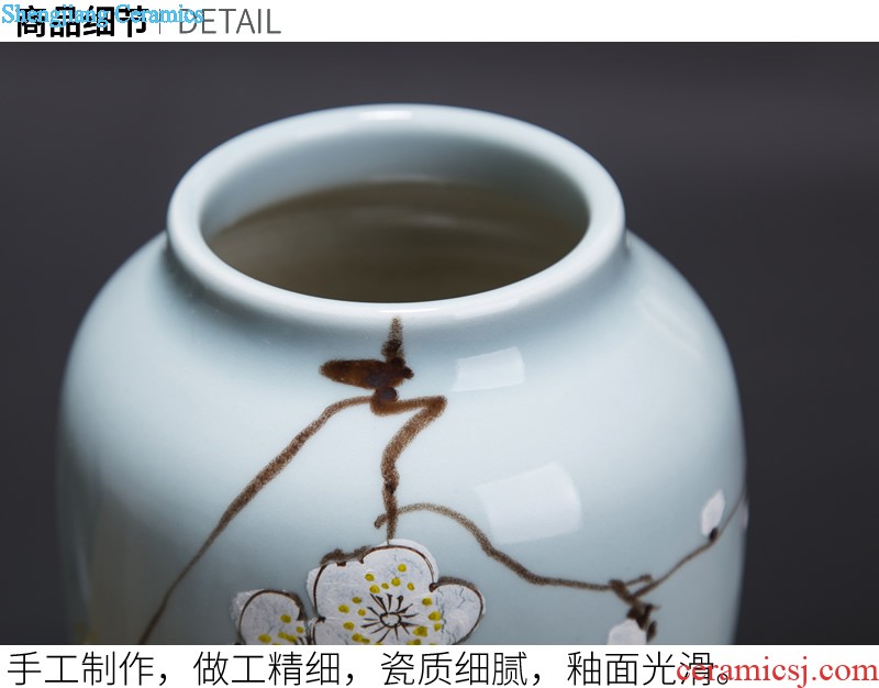 Jingdezhen ceramic European contracted floret bottle home sitting room all over the sky star hydroponic flower arrangement the flower adornment furnishing articles