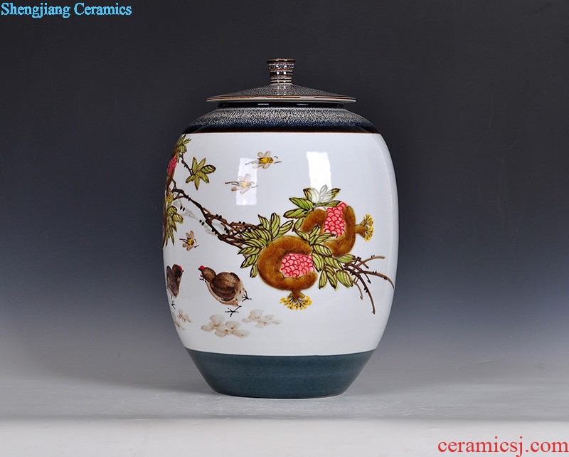 Master of jingdezhen furnishing articles sitting room decoration vase vase hand-painted famous porcelain craft bottles of furnishing articles