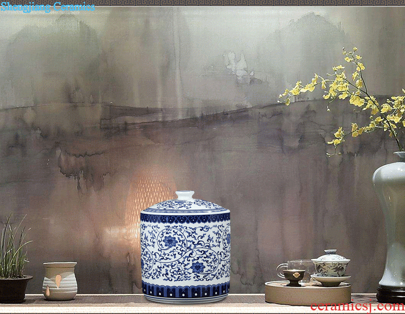 Jingdezhen porcelain vase Handmade porcelain celebrity famous large sitting room archaize handicraft furnishing articles