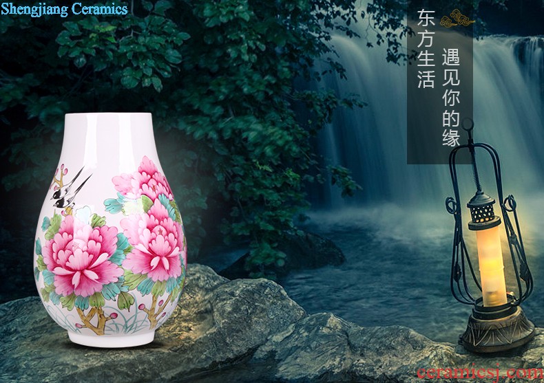 Hand draw large ceramic vase furnishing articles sitting room adornment of new Chinese style household lucky bamboo ceramic red bottle arranging flowers