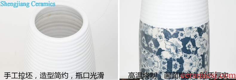 Jingdezhen ceramic European contracted floret bottle home sitting room all over the sky star hydroponic flower arrangement the flower adornment furnishing articles