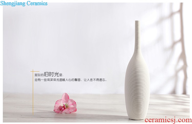 Jingdezhen ceramic hand-painted new Chinese vase creative living room TV cabinet dry flower arranging flowers home furnishing articles