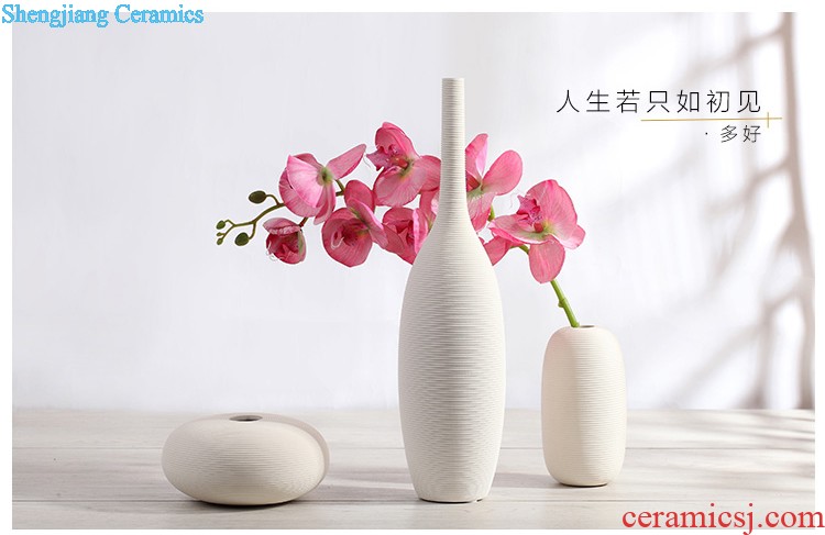 Jingdezhen ceramic hand-painted new Chinese vase creative living room TV cabinet dry flower arranging flowers home furnishing articles