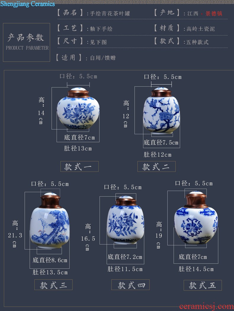 Jingdezhen ceramics vase furnishing articles Scenery famous hand-painted bottles Ceramic bottle of new Chinese style living room decoration furnishing articles