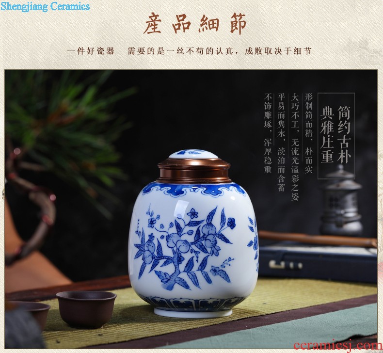 Jingdezhen ceramics vase furnishing articles Scenery famous hand-painted bottles Ceramic bottle of new Chinese style living room decoration furnishing articles