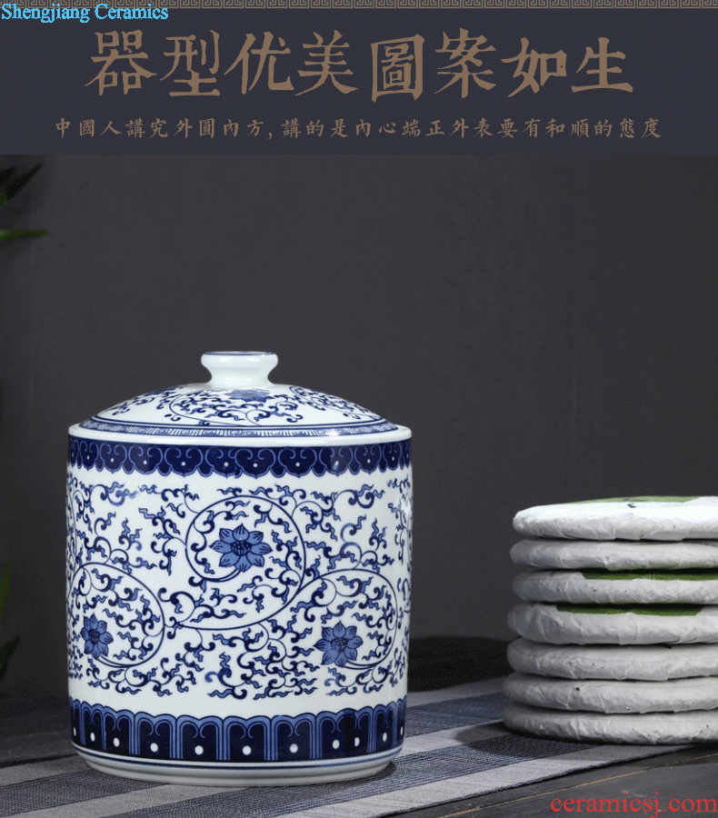 Jingdezhen porcelain vase Handmade porcelain celebrity famous large sitting room archaize handicraft furnishing articles