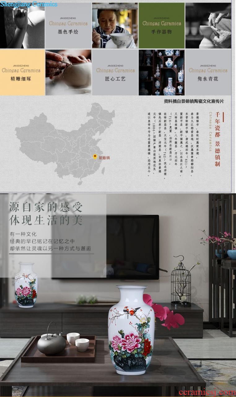 Chinese TV ark furnishings jingdezhen ceramics vase modern creative large sitting room place to decorate household