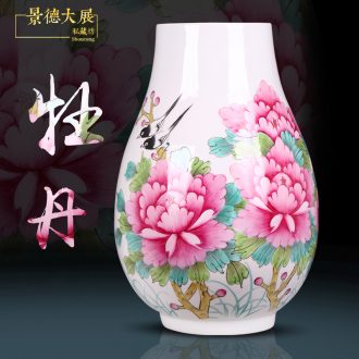 Jingdezhen ceramic vase furnishing articles Hand-painted master vase decoration home sitting room decorate a room TV ark