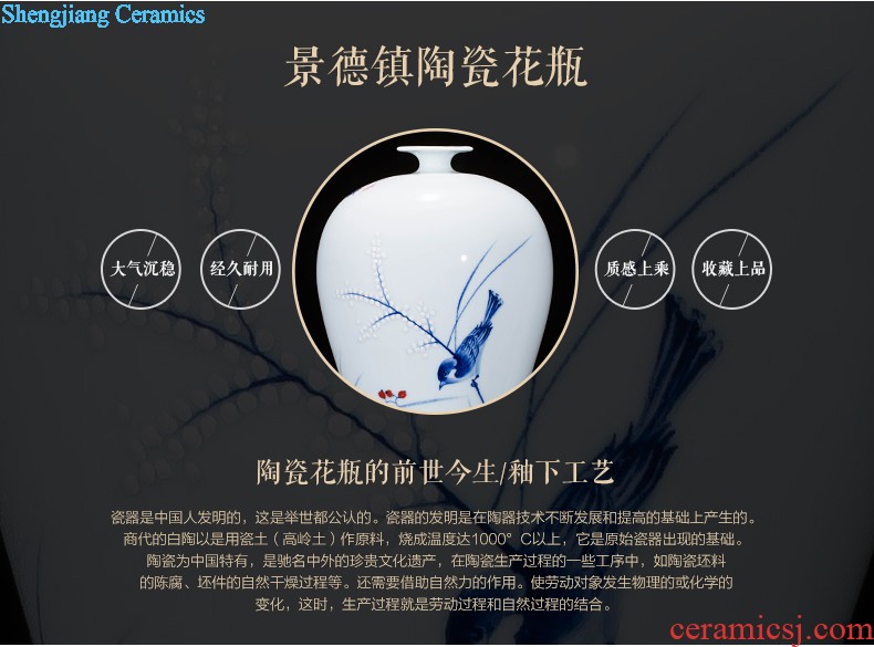 Jingdezhen ceramics of large vase household decorations arts and crafts office furnishing articles example room living room