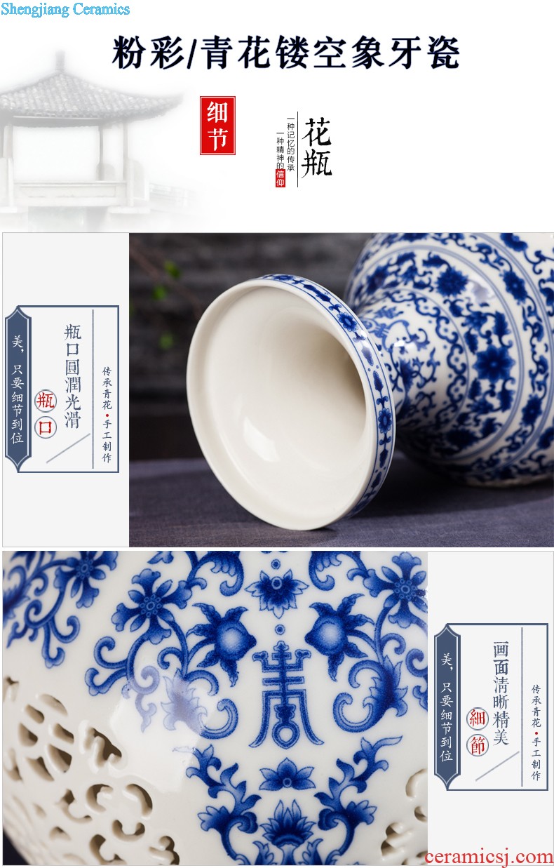 Jingdezhen ceramics vase of contemporary and contracted home sitting room handicraft wine creative egg ornament furnishing articles