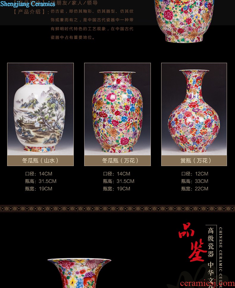 Jingdezhen ceramics hand-painted porcelain vase wine porch home wine ark adornment sitting room TV ark furnishing articles